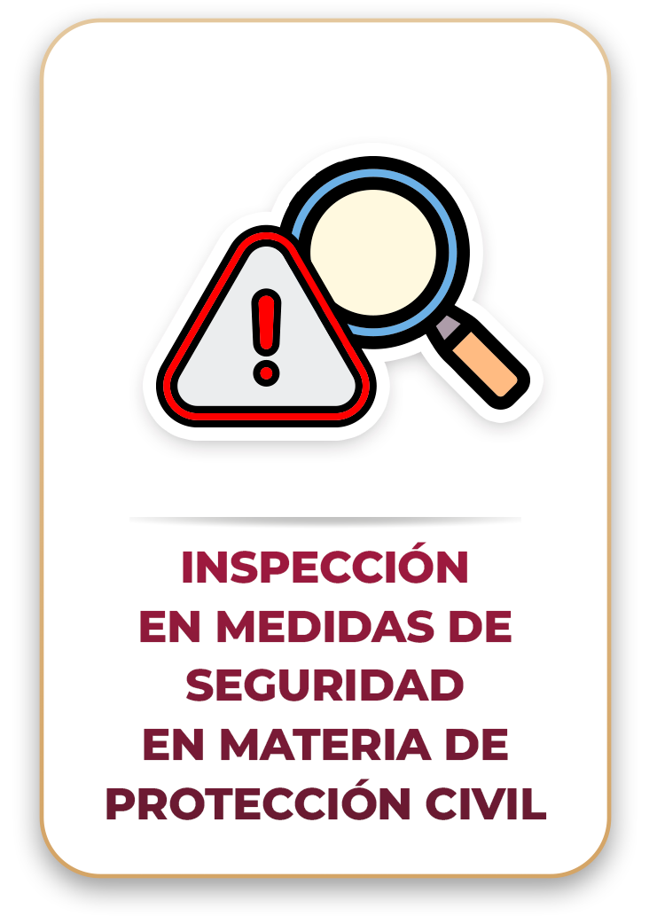 Inspección